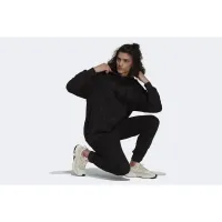 adidas Originals Graphics Tricolor Толстовка з капюшоном H13453