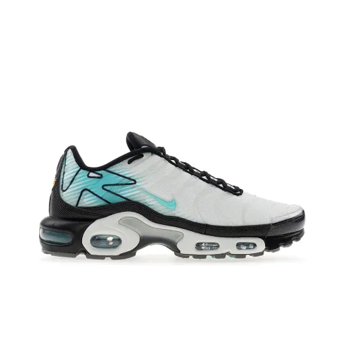 Кроссовки Мужские Nike Air Max Plus HV6225-100 - Белые