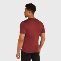 Футболка Icebreaker Merino 200 Oasis 10450901C1 - Красная