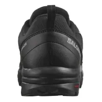 Кросівки для трекінгу SALOMON X BRAZE GTX Gore-Tex (471804)