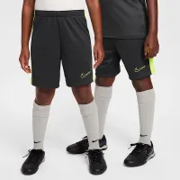 Nike Dri-FIT Academy дитячі Soccer шорти колір сірий