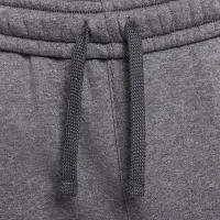 Nike Sportswear Club Fleece чоловічі Pants колір сірий