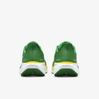 Oregon Pegasus 41 мужские Nike College Road Running Кроссовки цвет зеленый