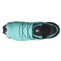 Кроссовки для бега w terenie SALOMON SPEEDCROSS 6 GTX Gore-tex (477656)