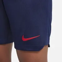 Paris Saint-Germain 2023/24 Stadium Home/Away Big дитячі Nike Dri-FIT Soccer шорти блакитний