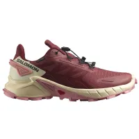 Кросівки для бігу w terenie SALOMON SUPERCROSS 4 GTX Gore-TEX (473168)