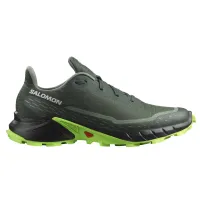 Кросівки Чоловічі SALOMON ALPHACROSS 5 (473117)