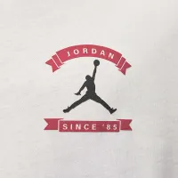 Nike Jordan мужские оверсайз Reissue футболка цвет белый