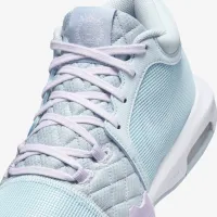 Nike LeBron Witness 8 баскетбольні Кросівки блакитний