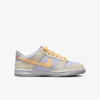 Nike Dunk Low Big детские Кроссовки цвет коричневый