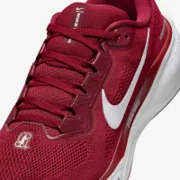 Stanford Pegasus 41 мужские Nike College Road Running Кроссовки цвет красный