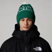 Шапка The North Face Retro Cabin 0A88QW84O1 - зеленая