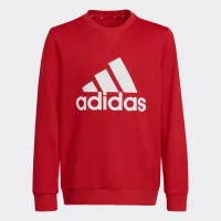 Кофта/футболка adidas Essentials HN1911 - Красная