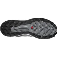 Кросівки для бігу Чоловічі Salomon SENSE RIDE 4 INVISIBLE GTX Gore-Tex (413071)