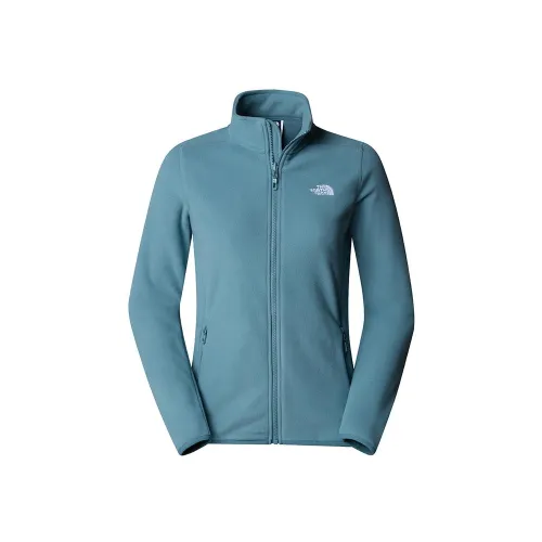 Кофта/футболка Женская The North Face 100 Glacier Full-Zip Fleece 0A855O4221 - Голубая