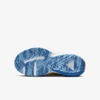 Nike Giannis Freak 5 Big детские баскетбольные Кроссовки синий