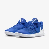 Nike HyperSpeed Court волейбольные Кроссовки синий