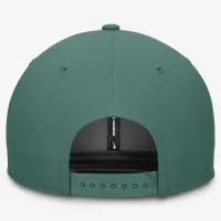Tampa Bay Rays Bicoastal Pro чоловічі Nike Dri-FIT MLB Adjustable Hat колір зелений