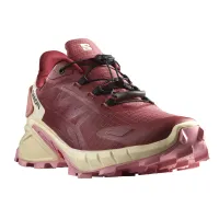 Кросівки для бігу w terenie SALOMON SUPERCROSS 4 GTX Gore-TEX (473168)
