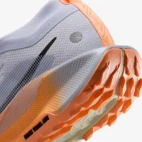 Nike Pegasus Trail 5 GORE-TEX женская Waterproof Trail Running Кроссовки цвет серый