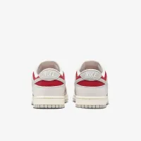 Nike Dunk Low Retro Кросівки колір сірий