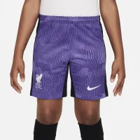 Liverpool FC 2023/24 Stadium Third Big детские Nike Dri-FIT Soccer шорты цвет фиолетовый