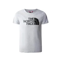 Футболка The North Face Easy 0A82GHDYX1- Серая