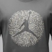 Nike Jordan Flight Essentials мужские футболка цвет серый
