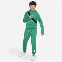 Nike Multi+ Big дитячі Therma-FIT тренувальні Joggers колір зелений