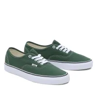 Кроссовки Vans Color Theory Authentic VN0A5KS96QU1 - Зеленые