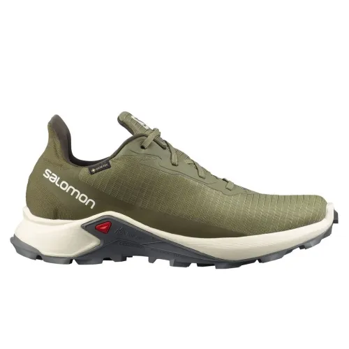 Кроссовки Мужские SALOMON ALPHACROSS 3 GTX Gore-TEX (413595)