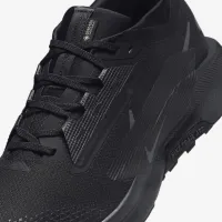 Nike Pegasus Trail 5 GORE-TEX чоловічі Waterproof Trail Running Кросівки колір чорний