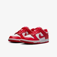 Nike Dunk Low Big детские Кроссовки цвет белый