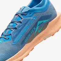 Nike Pegasus Trail 5 GORE-TEX чоловічі Waterproof Trail Running Кросівки блакитний