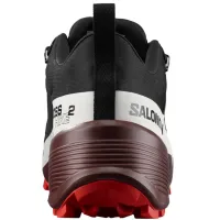 Кросівки для трекінгу SALOMON CROSS HIKE GTX 2 Gore-Tex (417302)