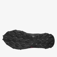 Кросівки Salomon Alphacross 5 Gore-Tex L47460400 - Чорні
