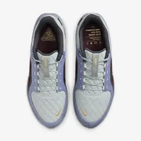 Nike Winflo 11 GORE-TEX мужские Waterproof Road Running Кроссовки цвет серый
