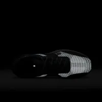Nike Lunar Roam SE мужские Кроссовки цвет серый
