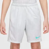 Nike Academy Big дитячі Dri-FIT Soccer шорти колір сірий