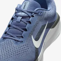 Nike Winflo 11 чоловічі Road Running Кросівки (Extra Wide) блакитний