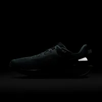 Nike Air Zoom Pegasus 41 SP чоловічі Кросівки колір сірий