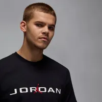 Nike Jordan Air мужские футболка цвет черный