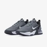 Nike Air Max Alpha Trainer 5 чоловічі для тренування Кросівки колір сірий