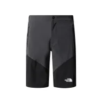 Шорты The North Face Felik 0A825XK1C1 - серо-черные
