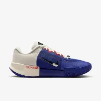Nike GP Challenge Pro Premium мужские Hard Court Tennis Кроссовки цвет фиолетовый