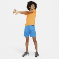 Nike Multi Big дитячі (для хлопчиків) Dri-FIT Mesh шорти блакитний