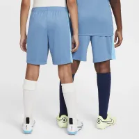 Nike Dri-FIT Academy детские Soccer шорты синий