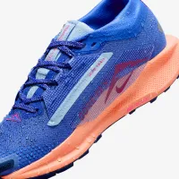 Nike Pegasus Trail 5 GORE-TEX женская Waterproof Trail Running Кроссовки синий