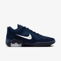 Nike LeBron Witness 9 баскетбольные Кроссовки синий