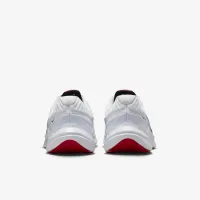 Nike Quest 5 мужские Road Running Кроссовки цвет белый
